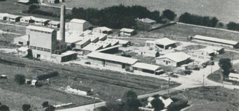 British United milk products factory, Toora, 1955