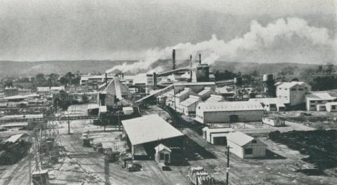 Paper pulp and kraft mill, Maryvale, 1955