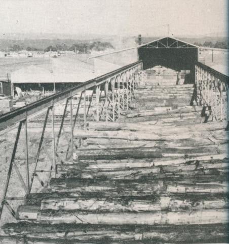 Timber mill gantry for handling logs, Heyfield, 1955