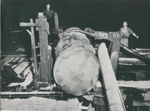 The Symonson log turning unit in a mill, Powelltown, 1955