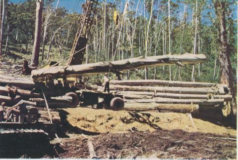 Loading logs in the forest, Licola, 1955