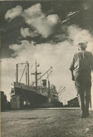 The 'South Africa Star' awaits loading, Geelong North, 1950