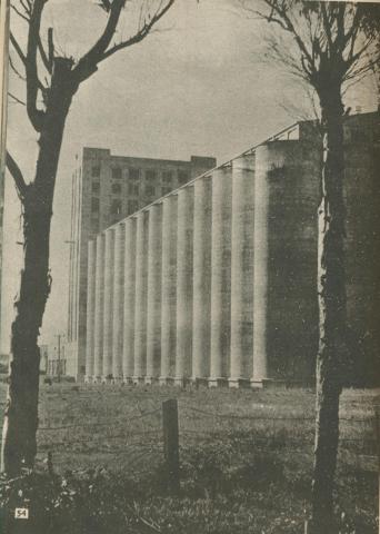 Wheat Silos, Geelong North, 1950