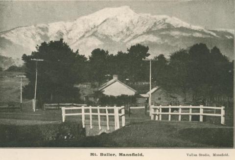 Mount Buller, Mansfield, 1919