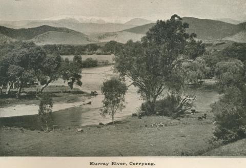 Murray River, Corryong, Upper Murray Shire, 1919