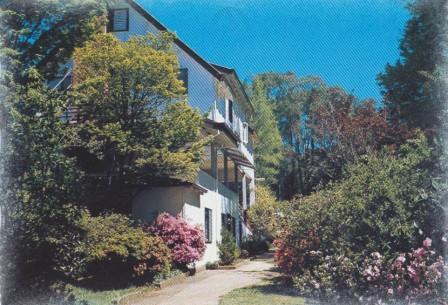 The attractive gardens at the Kooringa Guest House, Marysville