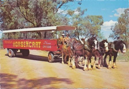 Monty's Horse 'n' Cart, Mildura