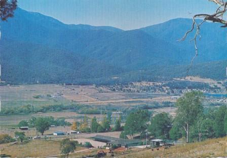 Horseriding, a popular pastime around Mount Beauty