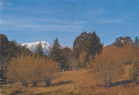 Snow-capped Mount Buller as viewed from the Mansfield Road