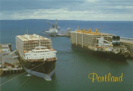 Sheep ships in Portland Harbour