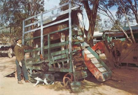 Betty working the winnower, Pioneer Settlement, Swan Hill