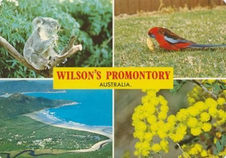 Wilson's Promontory