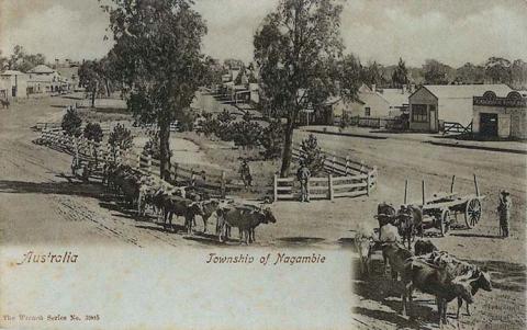 Township of Nagambie, c1909