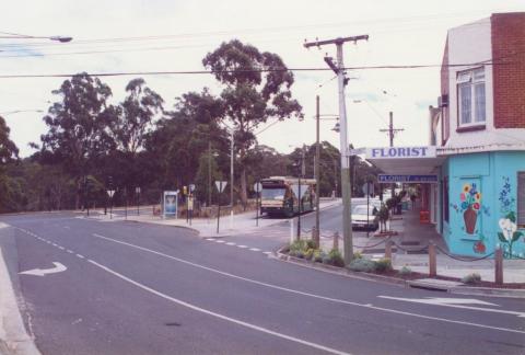 Wattle Park, 1999