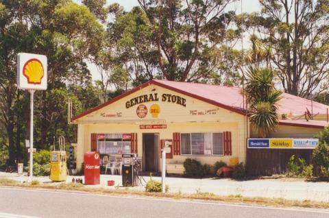 Cabbage Tree Creek, 2000