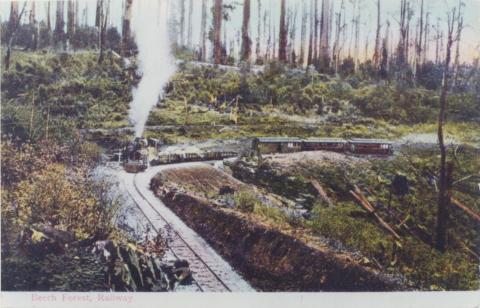 Beech Forest, Railway, 1907