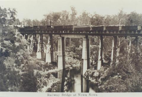 Railway Bridge at Nowa Nowa