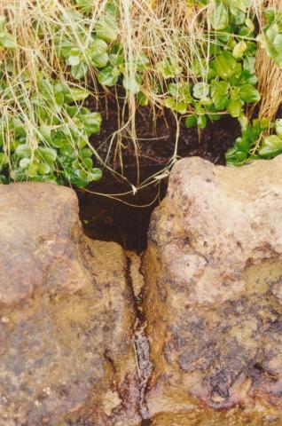 Aboriginal Well, Ricketts Point, Beaumaris, 2001