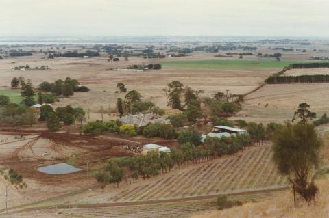 Alvie from Red Rock, 2001