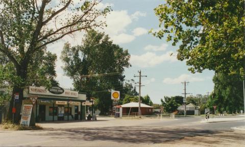 Tinamba, 2002