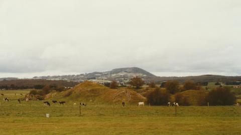 Napoleons toward Mount Buninyong, 2002