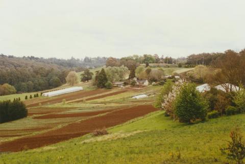 Avonsleigh, 2002