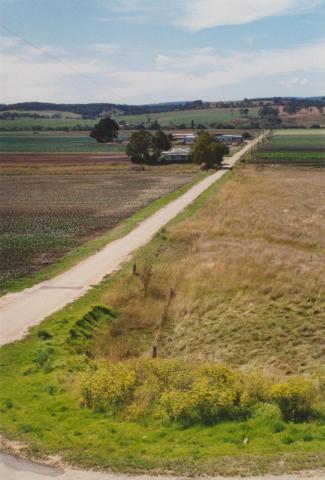 Lindenow market gardens, 2004