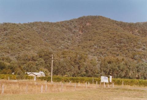 Edi, King Valley vineyard, 2006