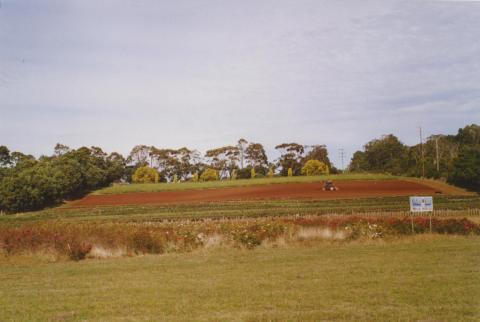 Bolwarra (Western District) flower farm, 2006