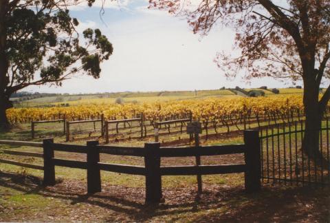 Seppelts vineyards, Drumborg, 2006