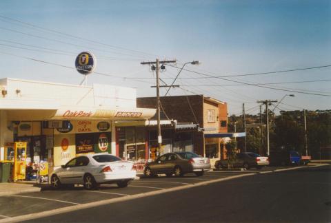 Snell Grove, Oak Park, 2007