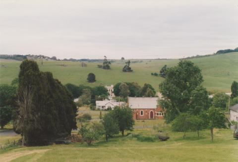 Merino from Maud and Levy Streets, 2008