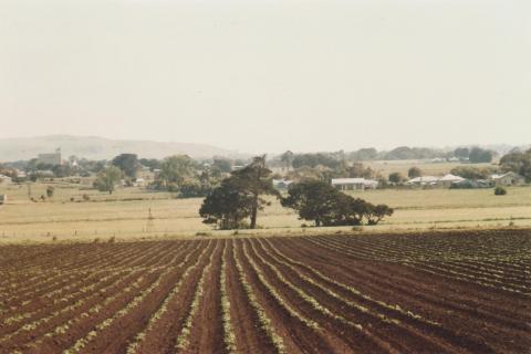 Browns Lane, Nalangil, 2009