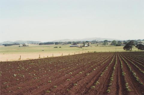 Browns Lane, Nalangil, 2009