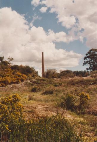 Beehive chimney, Maldon, 2009