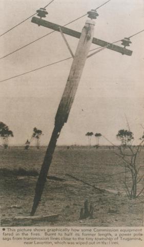 Burnt power pole near Truganina, 1969