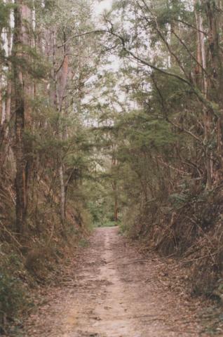 Walhalla railway track, 2010