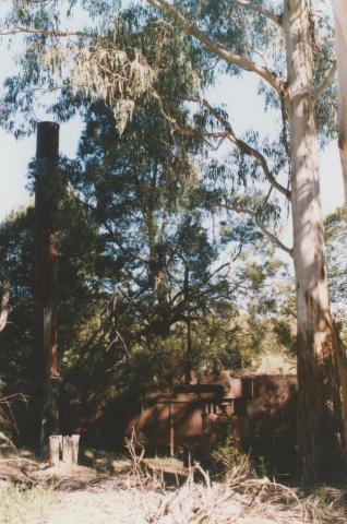 Old timber mill, Goongerah, 2010