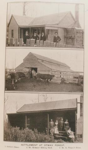 Settlement at Otway Forest