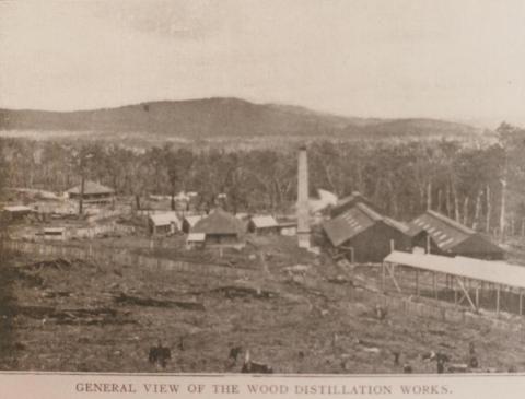 Cuming's wood distillation works, Yarra Junction, 1908