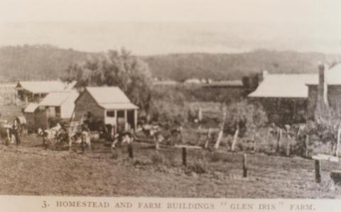 Homestead and farm buildings, Glen Iris, 1909