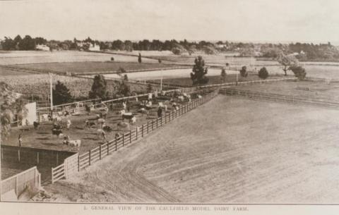 Caulfield model dairy farm, 1909