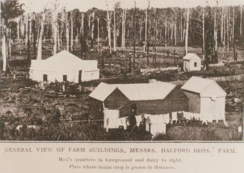 Halford Brothers' farm, Kongwak, 1910