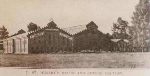 St Hubert's bacon and cheese factory, Coldstream, 1910