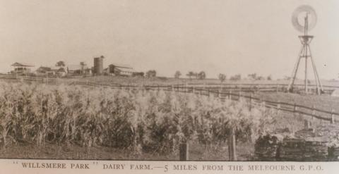 Willsmere Park dairy farm, Kew, 1910