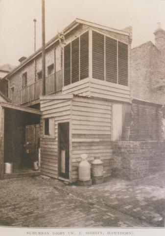 Suburban dairy, Hawthorn, 1911