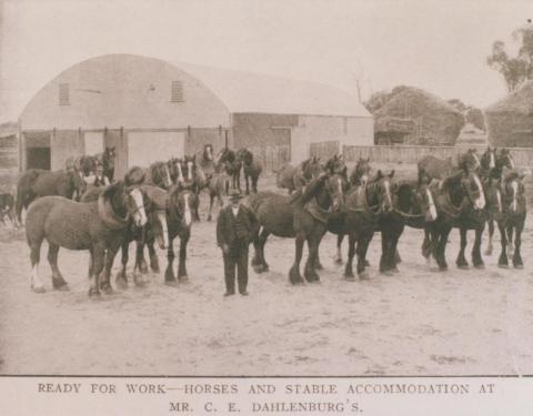 Horses and stable accommodation, Kiata, 1912