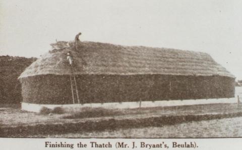 Finishing thatch at Mr Bryant's, Beulah, 1922