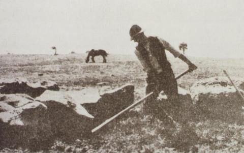 Mr L Kennedy clearing basalt boulders, Anakie, 1922