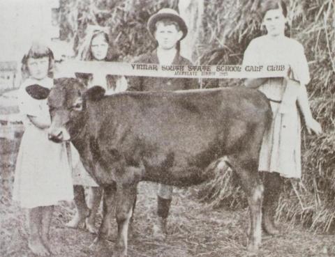 Children with prize calf, Yinnar South, 1923